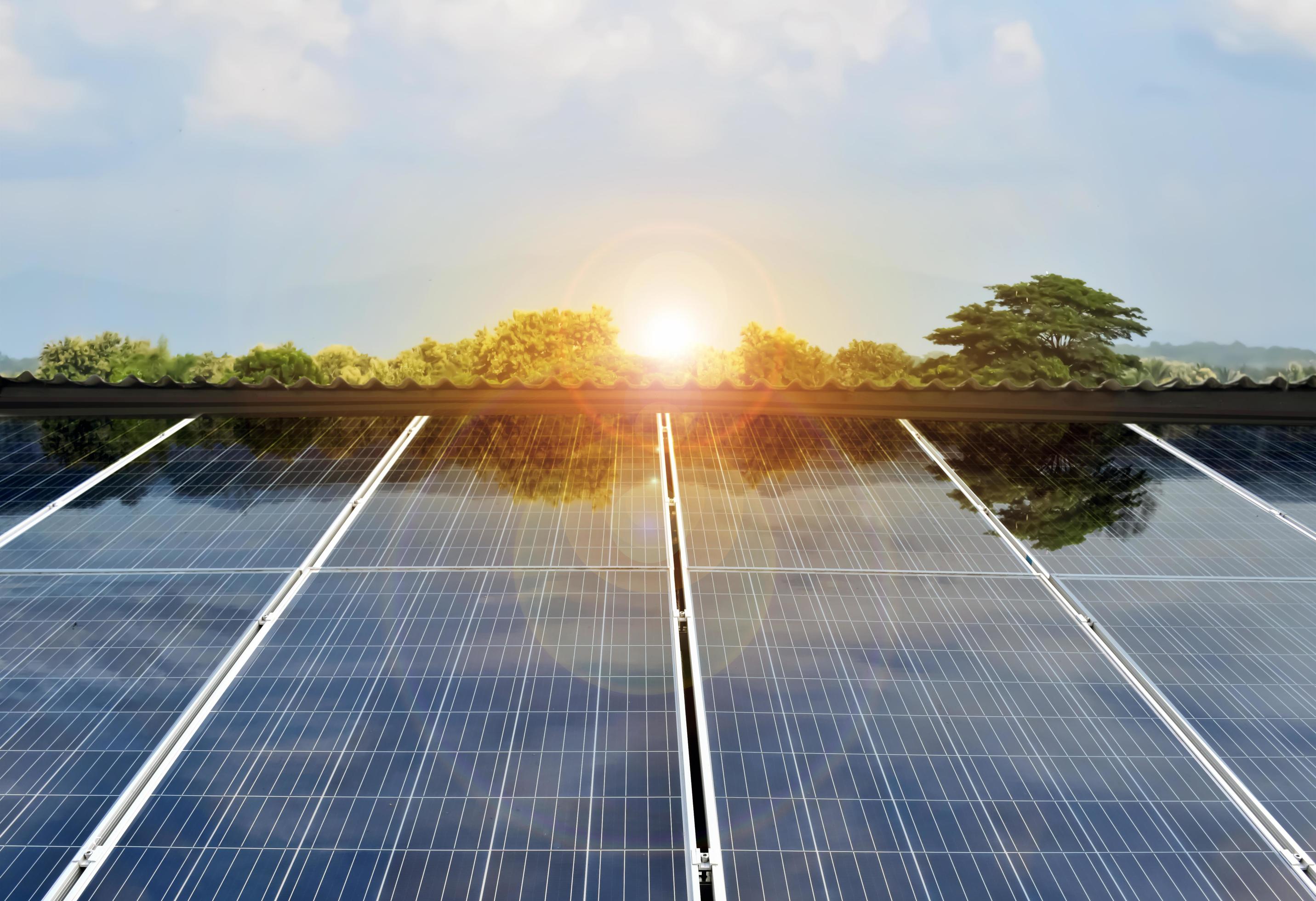 Paneles solares limpios